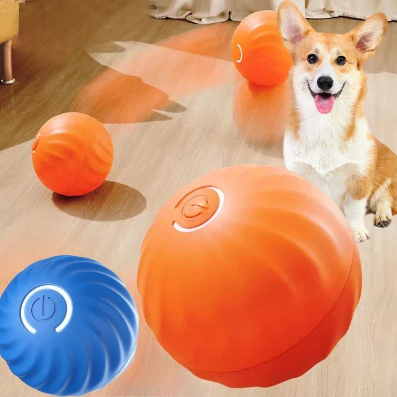 Bola de brinquedo para animais de estimação, movimento automático