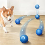 Bola de brinquedo para animais de estimação, movimento automático